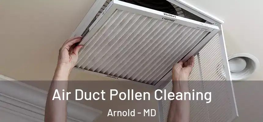 Air Duct Pollen Cleaning Arnold - MD