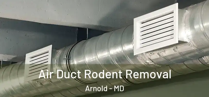  Air Duct Rodent Removal Arnold - MD