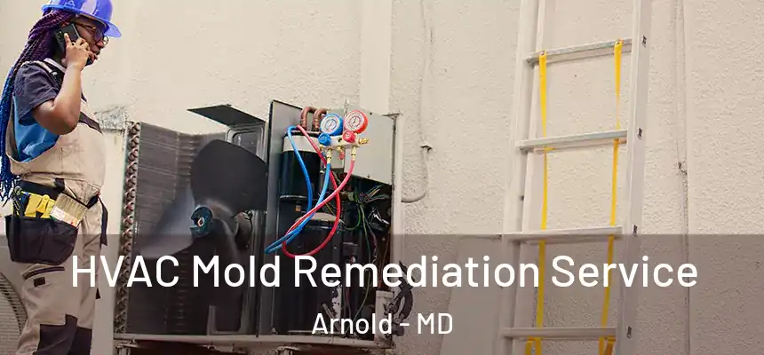  HVAC Mold Remediation Service Arnold - MD