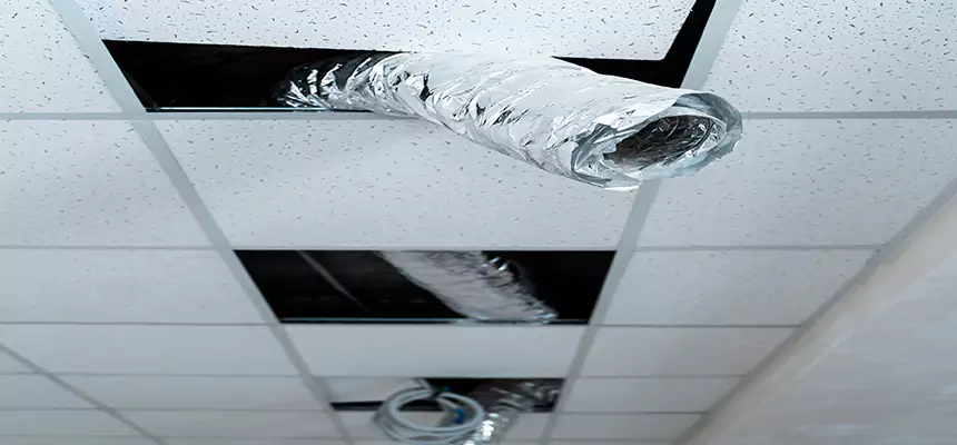 Our Air Duct Pet Hair Removal Services in Arnold, MD