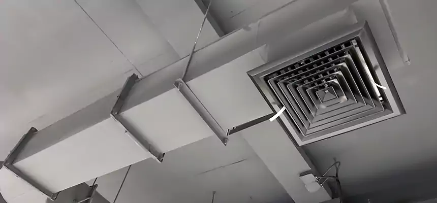 Our Pest Removal From Ducts Services in Arnold, MD