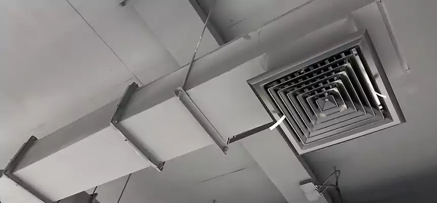 Our Rodent Droppings In Vents Services in Arnold, MD