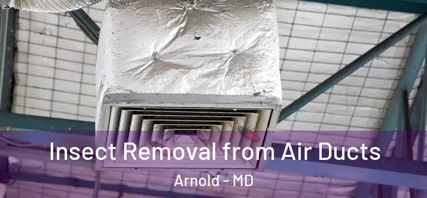  Insect Removal from Air Ducts Arnold - MD