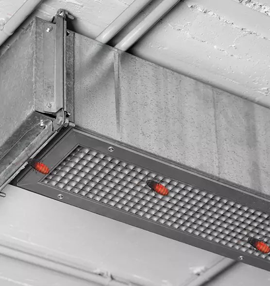 About Air Duct Cockroach Removal in Arnold, MD