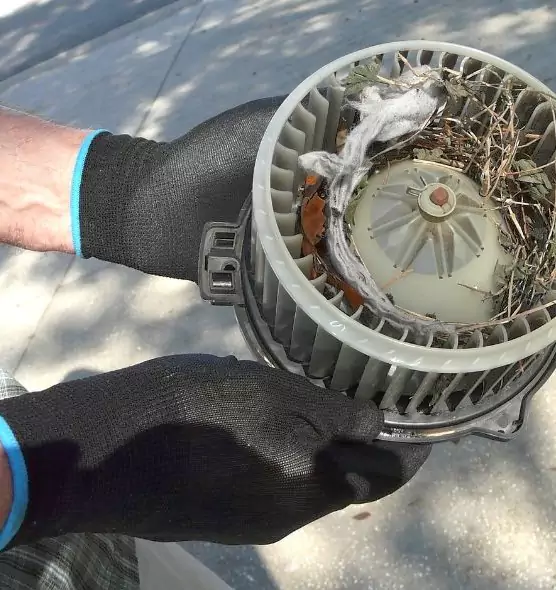 About Air Duct Mice Removal in Arnold, MD