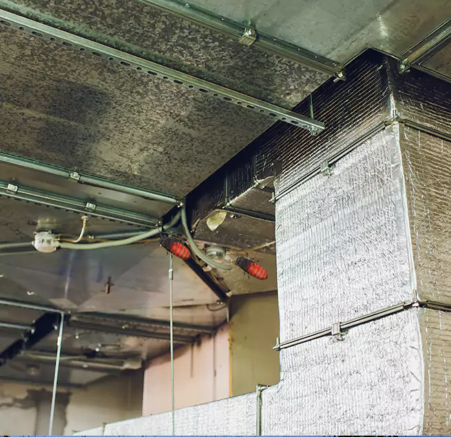 Why Homeowners & Businesses Trust Us in Arnold, MD?