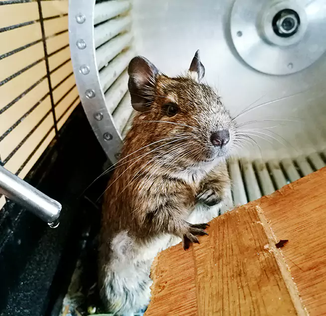 Why Homeowners & Businesses Trust Us Arnold, MD?