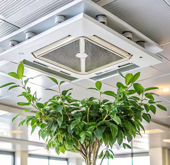 Why Homeowners & Businesses Trust Us in Arnold, MD